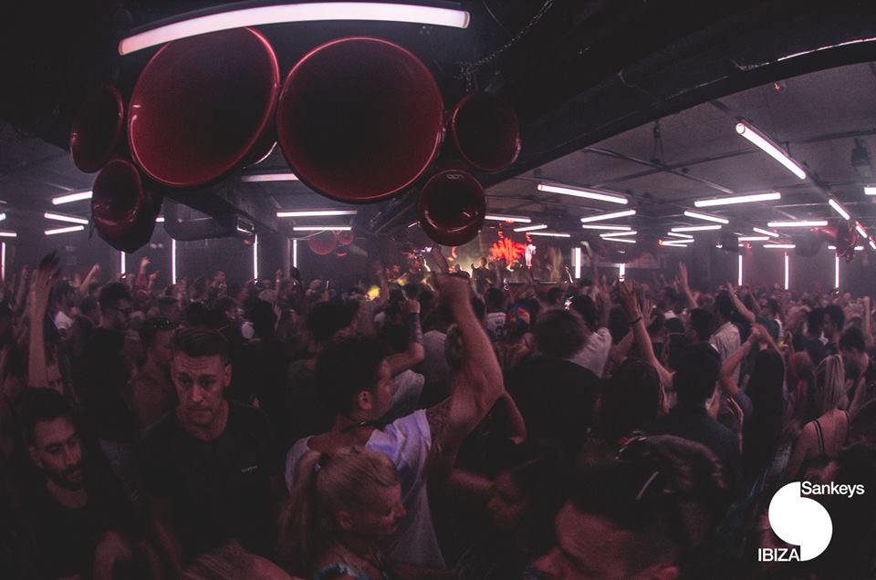 warriors sankeys basement