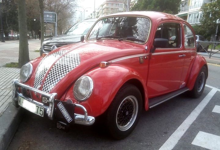 beetle