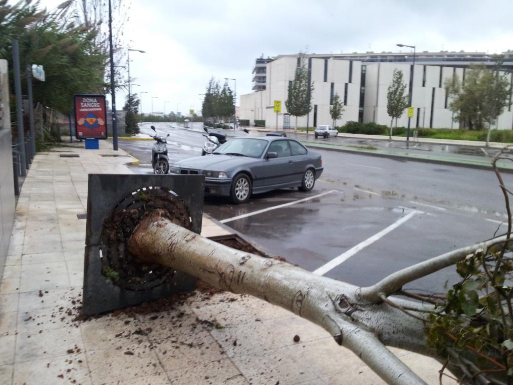 5 Must See Videos Of The Horrific Storm From Yesterday