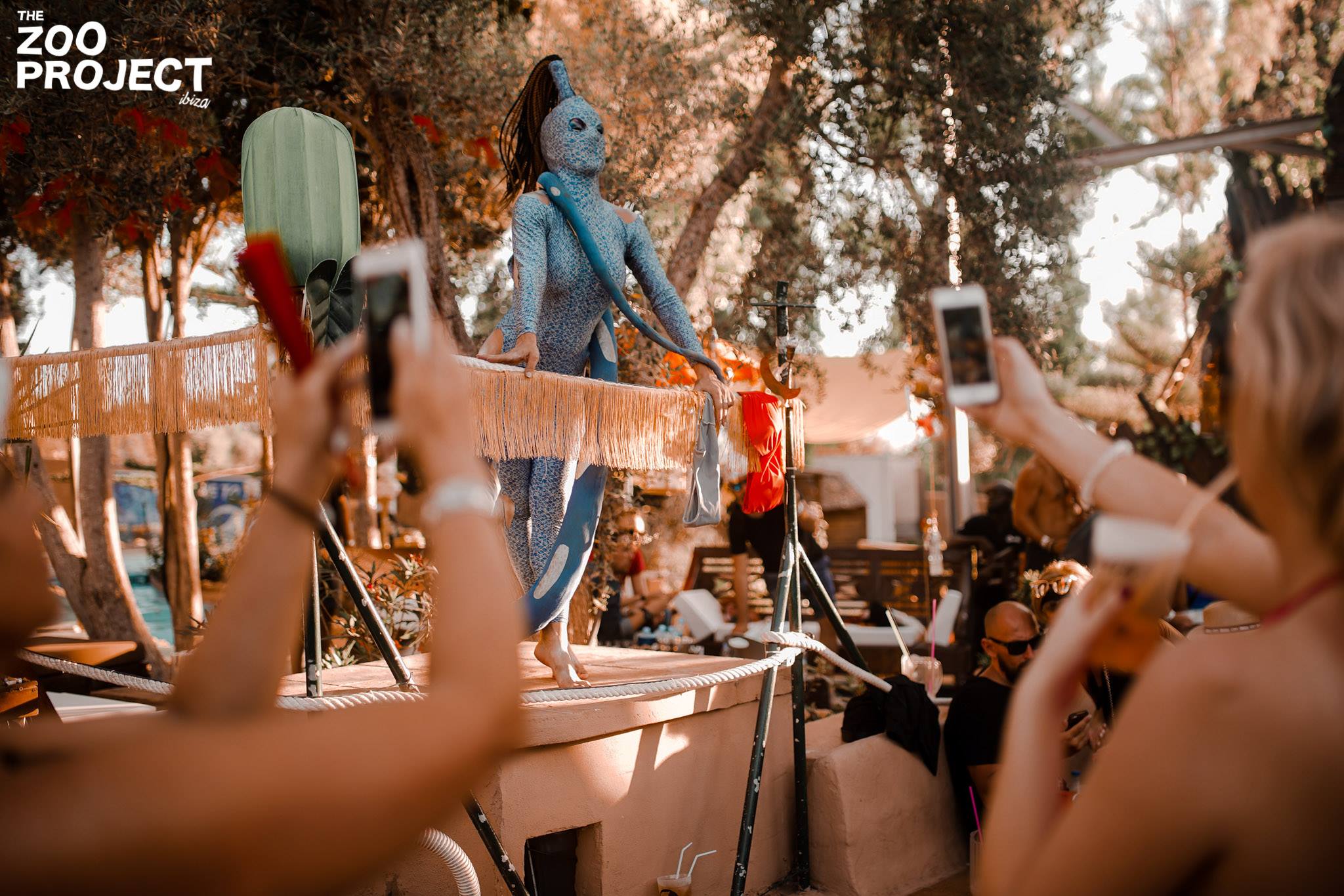 14 Pictures Showing The True Madness Of The Zoo Project!